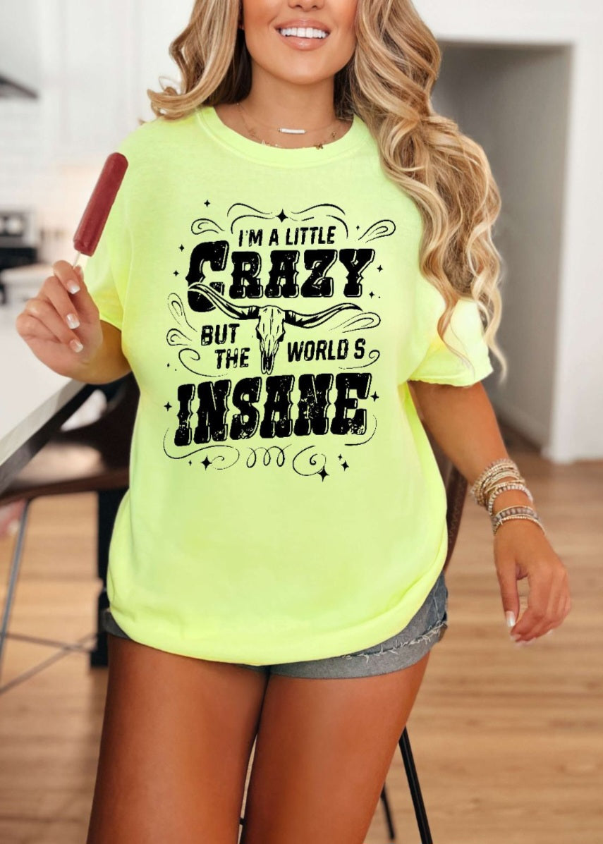 I'm a little crazy but the world's insane t-shirt or sweatshirt